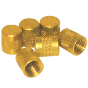 Access Fittings and Service Valves